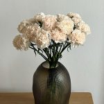 Гвоздика Брют, 20 шт.