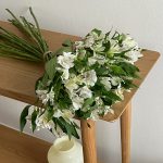 Альстромерия белая, 20 шт.