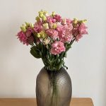 Эустома махровая розовая, 10 шт.